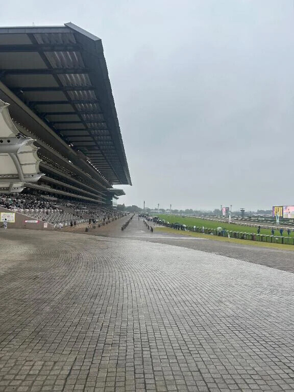 初体験🐎