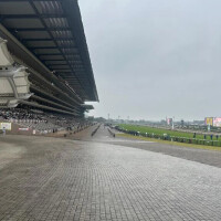 初体験🐎