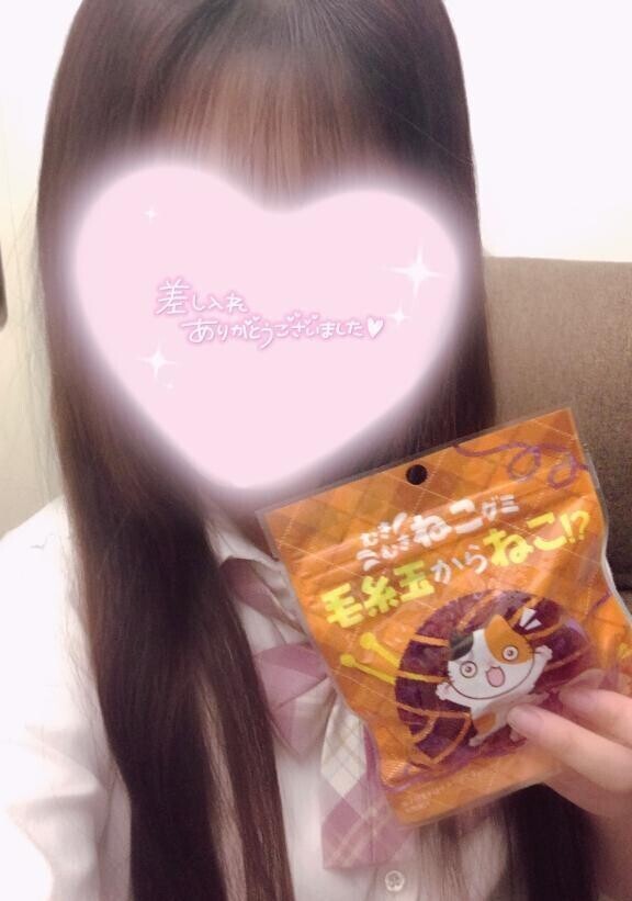 ねこねこ🐾
