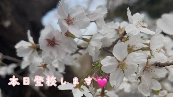 登校します！