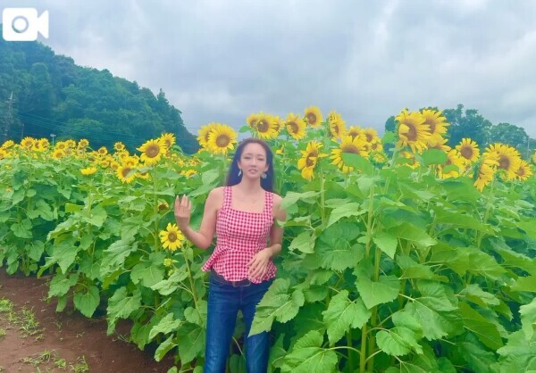 ひまわり🌻❤️動画🎥