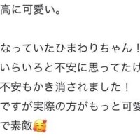 【お礼写メ日記】