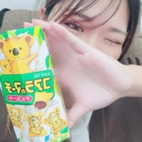 🐨