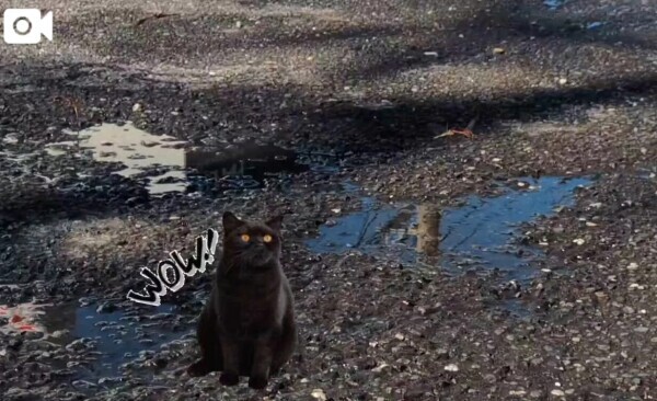 ━8:━8: ━8:━8: ━8:━8: ━8:━8: ━8:━8: