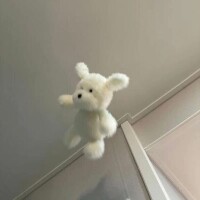 もかさんの休日🥱