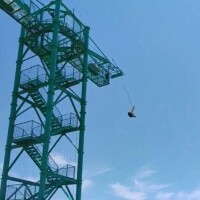 こなつ