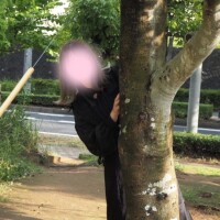 ちはる