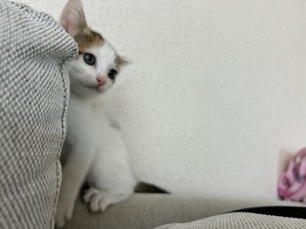 こんばんは🌛