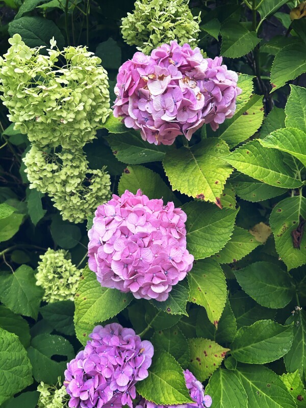 出勤します☺︎