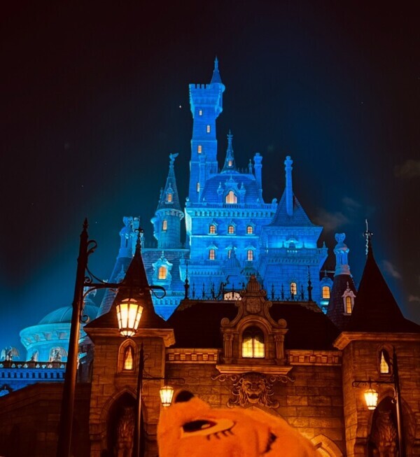 ディズニーいきたああああああ！！！