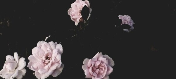 🙇🏻‍♀️💦