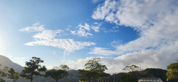 出勤&お知らせ📢