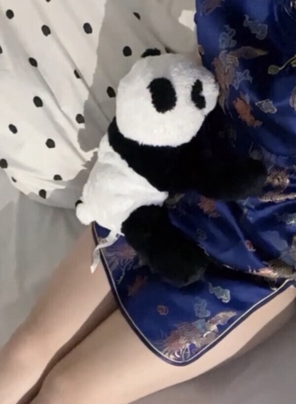 しゅっ！🐈‍⬛🎀