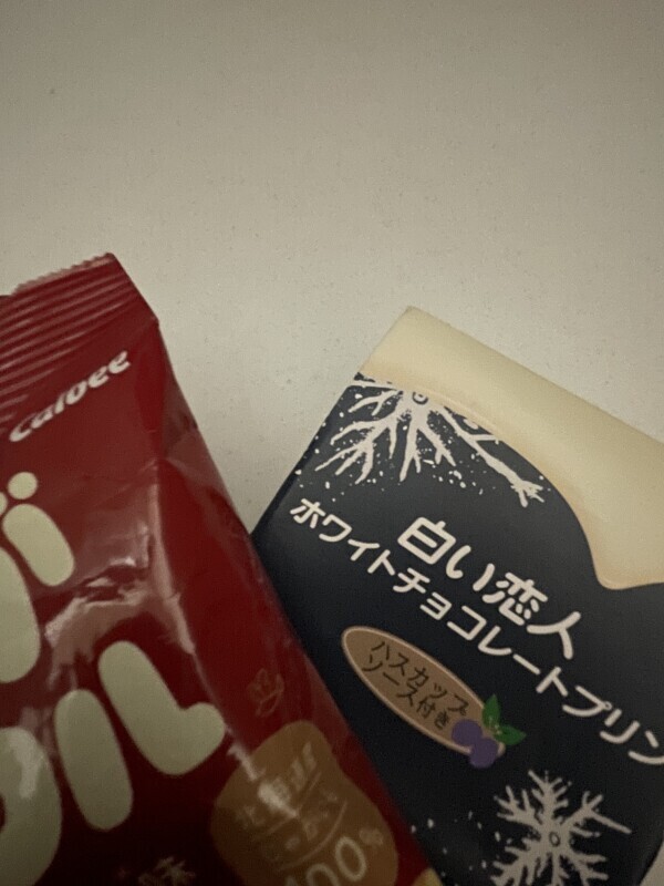 たのしかっただ！
