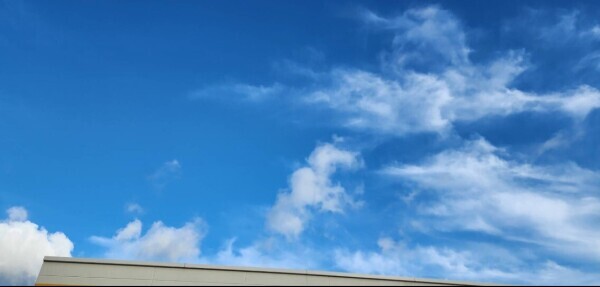 復活しました♪