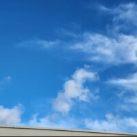みな