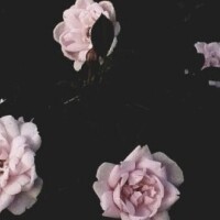 あず