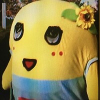 おはようナッシー