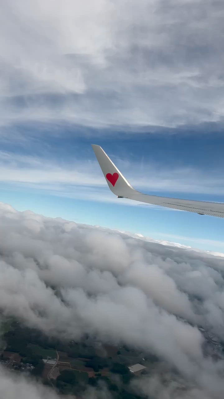 おはようございます