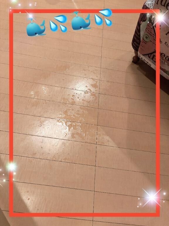 あっちでもこっちでも🩷