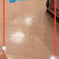 あっちでもこっちでも🩷