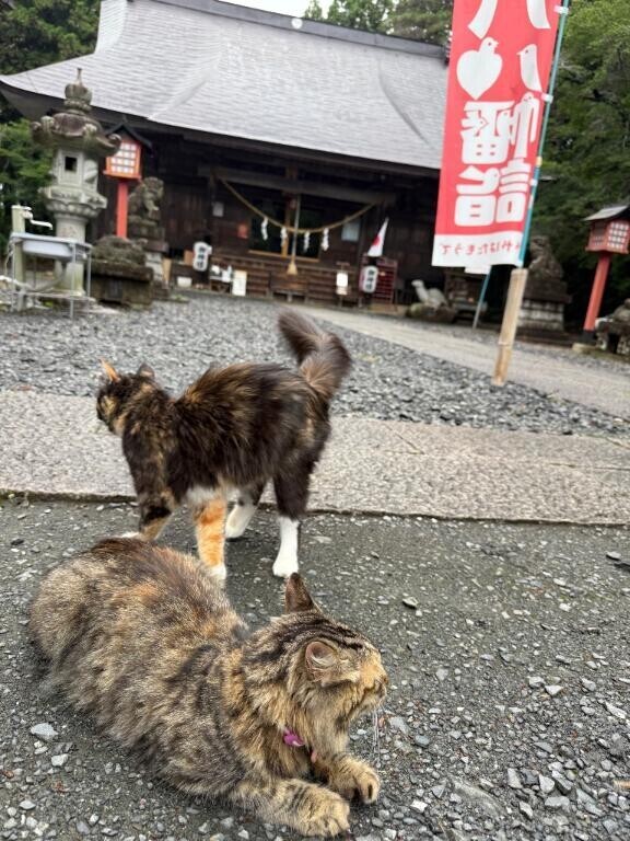 趣味の神社巡り