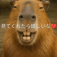 限定日記で