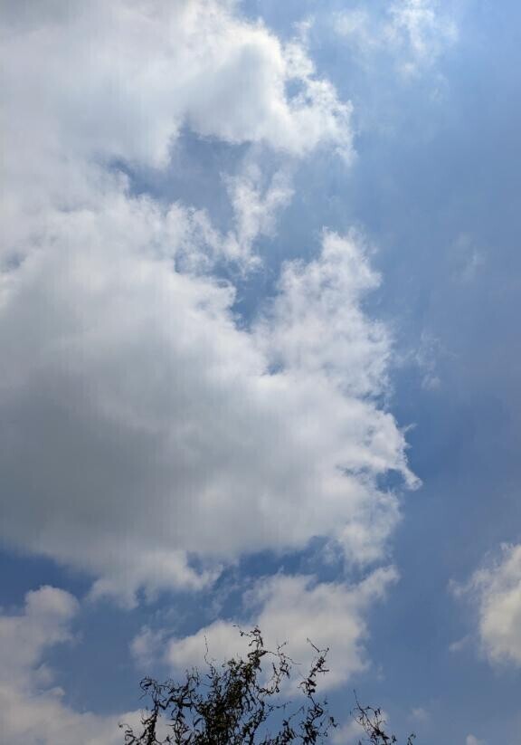 アツアツ(*´Д`)