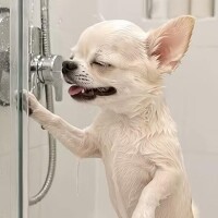 １８日🩷予約(∩´∀｀)∩ﾜｰｲ
