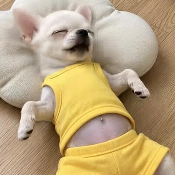 明日はお休みだよーーー