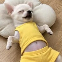 明日はお休みだよーーー