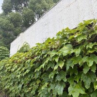 昨日は19回も日記更新ですよ