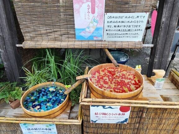18日…といただき物