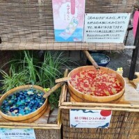 18日…といただき物