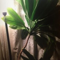 今日はこの辺で
