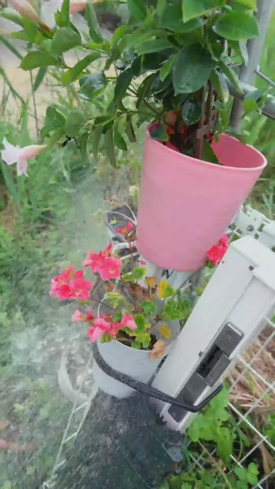 気持ち朝ですね