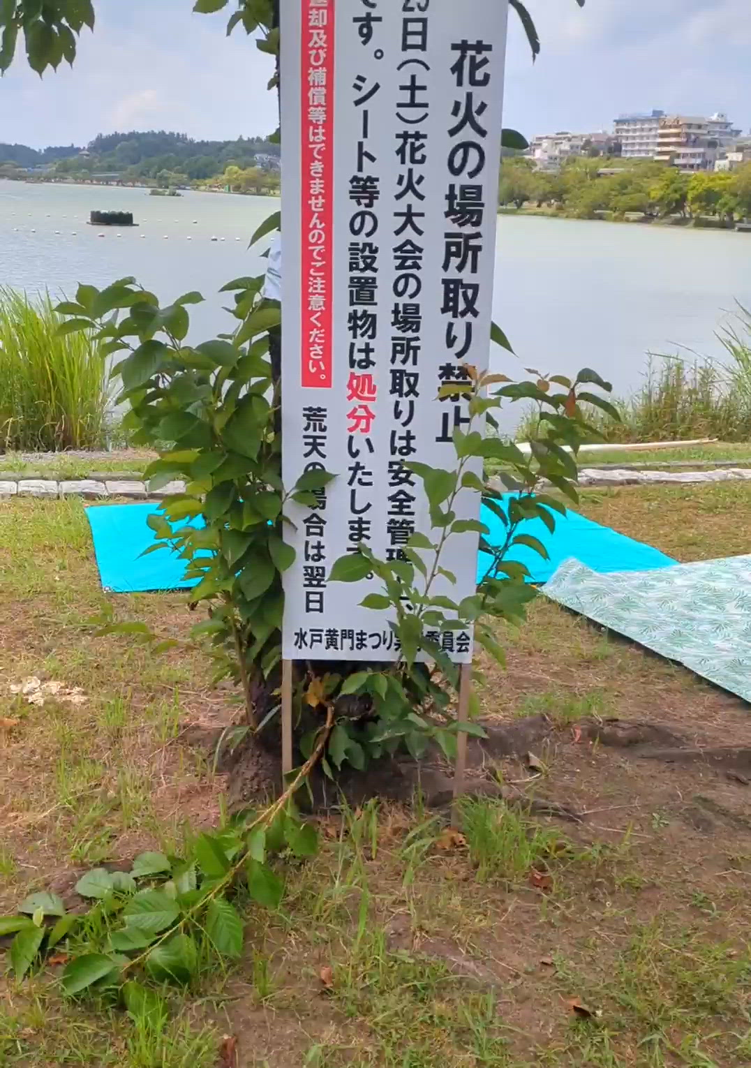 陣取りじゃーーーい