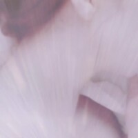 [お題](о＾∇＾о)