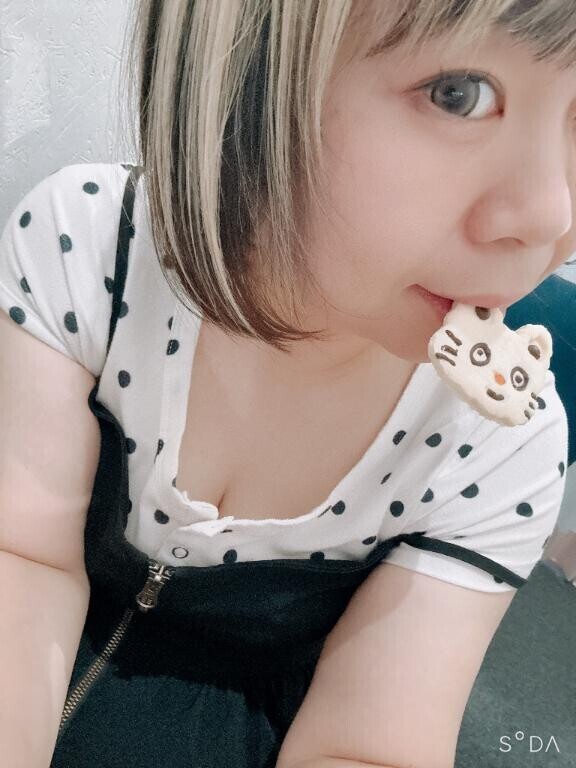 今日は…