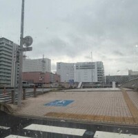 起きたよー
