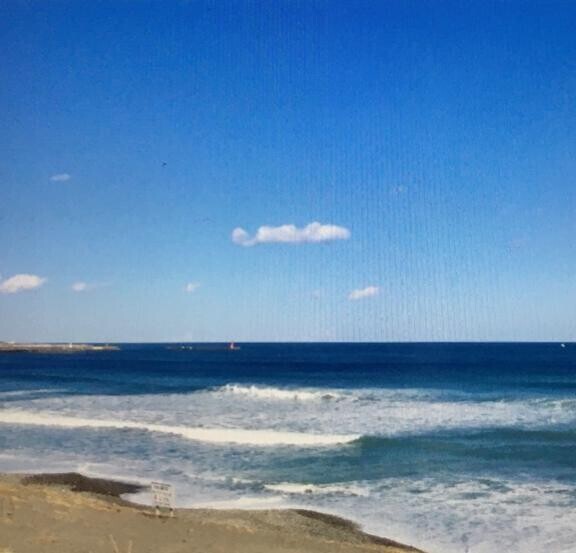 海だョ