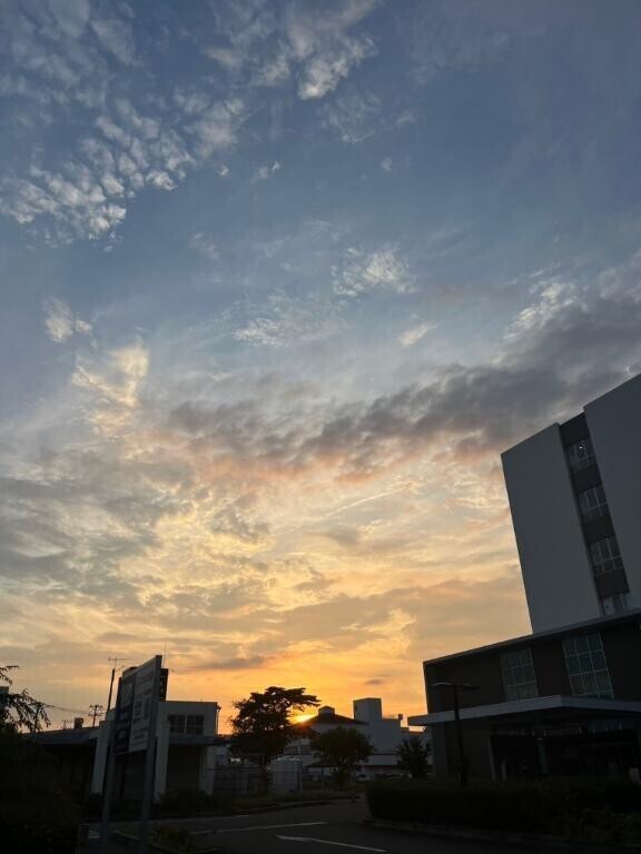 告知