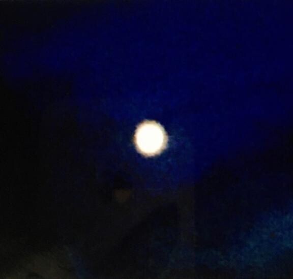 夏の真夜中に