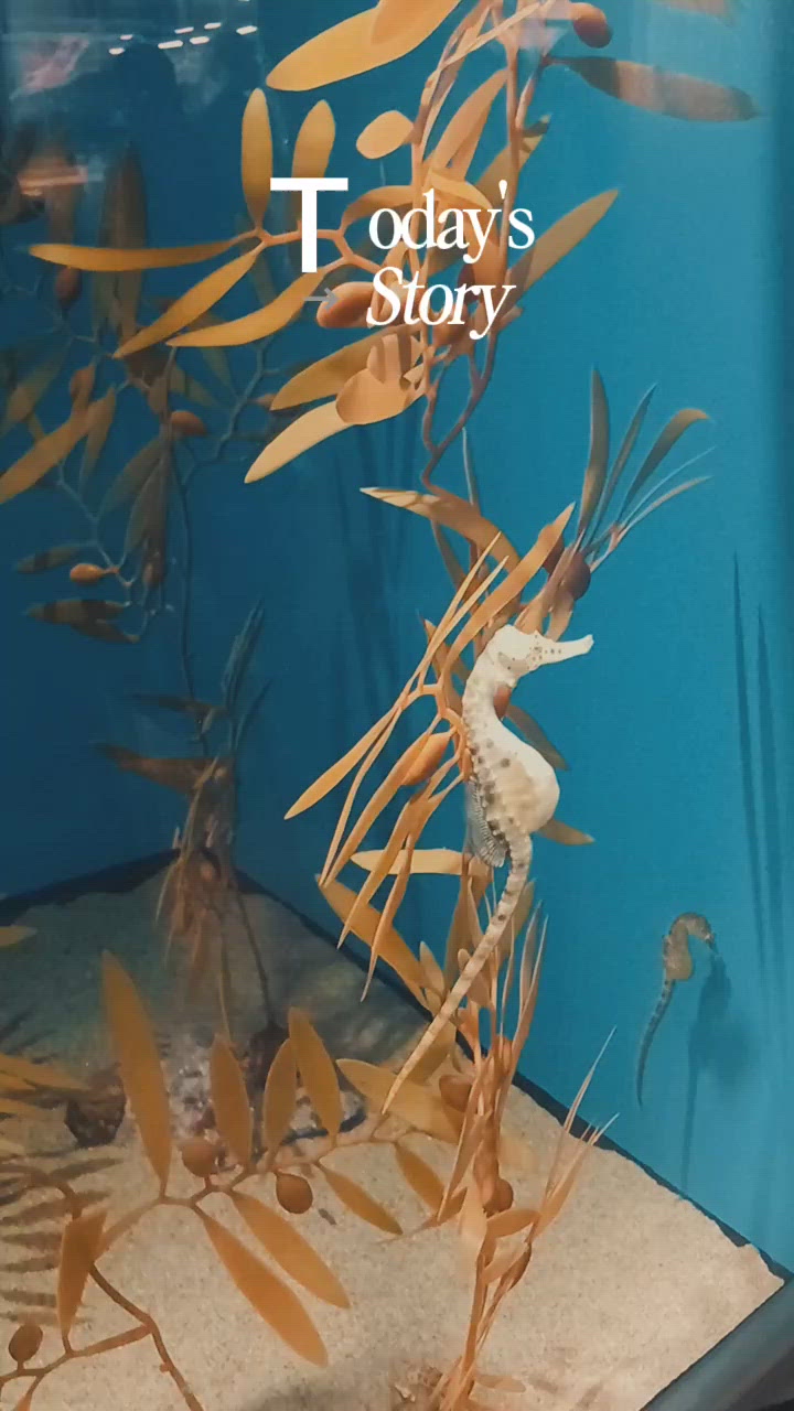 [お題](о＾∇＾о)