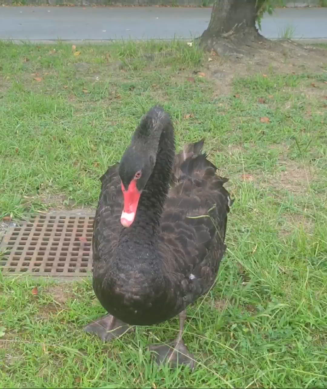 側で見てたら