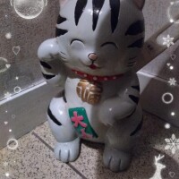 今日行くよー