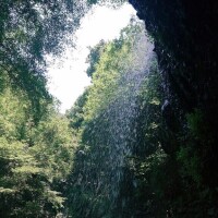 さら