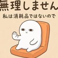 出没タイム((((*゜▽゜*))))