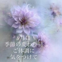水戸のお店はあまり知らないけれど