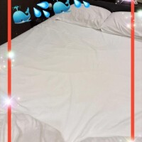 鯨さんが…🩷